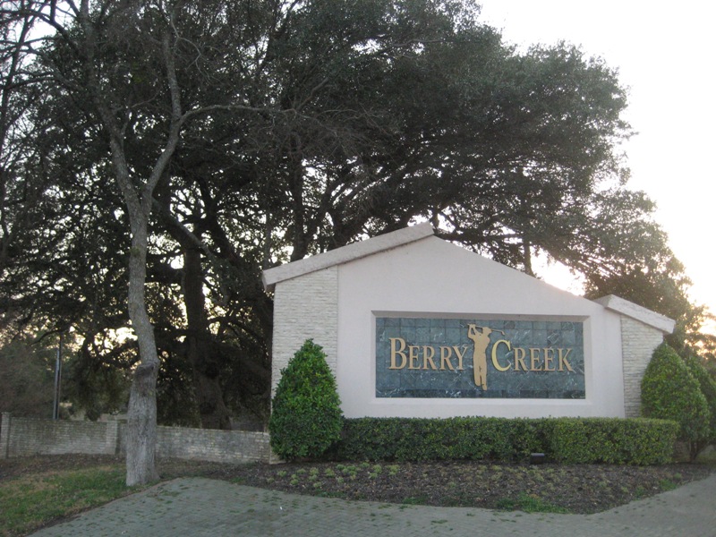 homes for rent in berry creek georgetown tx